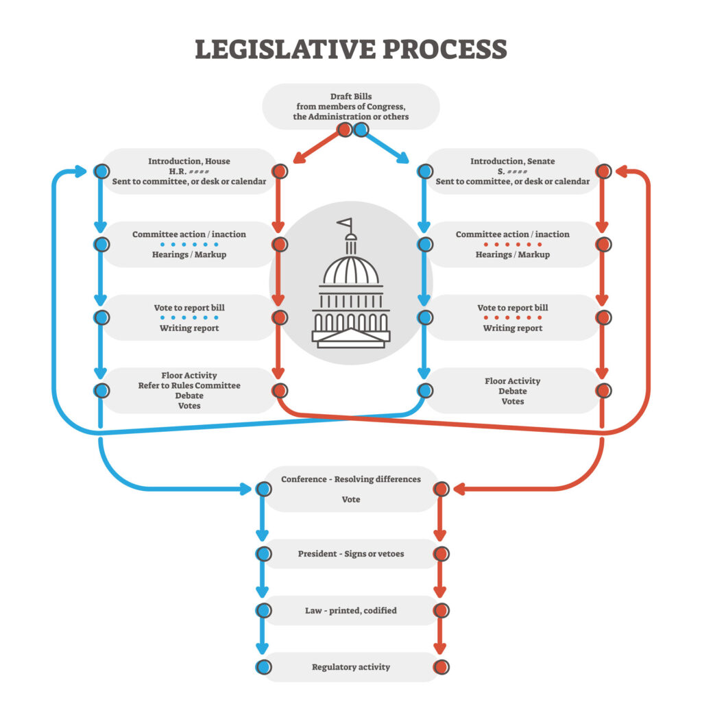 art showing the legislative process of a bill.